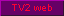 TV2 web TV